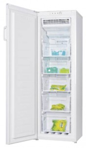 LGEN TM-169 FNFW Холодильник фото