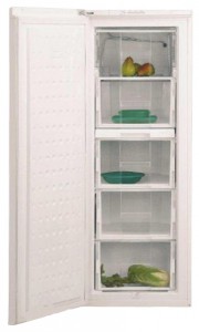 BEKO FSE 21920 Refrigerator larawan