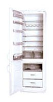 Snaige RF390-1763A Холодильник фото