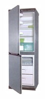 Snaige RF310-1671A Холодильник Фото