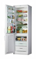 Snaige RF360-1501A Холодильник Фото