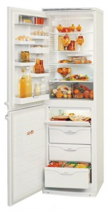ATLANT МХМ 1805-26 Холодильник Фото