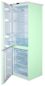 DON R 291 жасмин Frigo Photo