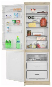 Snaige RF360-1711A Tủ lạnh ảnh