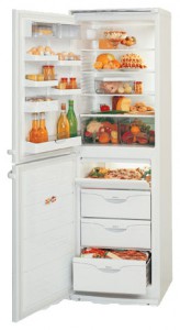 ATLANT МХМ 1818-21 Холодильник Фото
