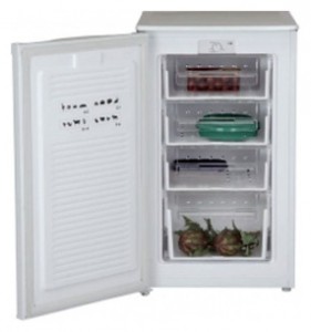 BEKO FHD 1102 HCB Tủ lạnh ảnh