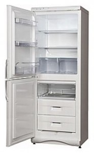 Snaige RF300-1801A Холодильник фото