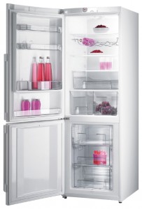 Gorenje NRK 65 SYW Tủ lạnh ảnh
