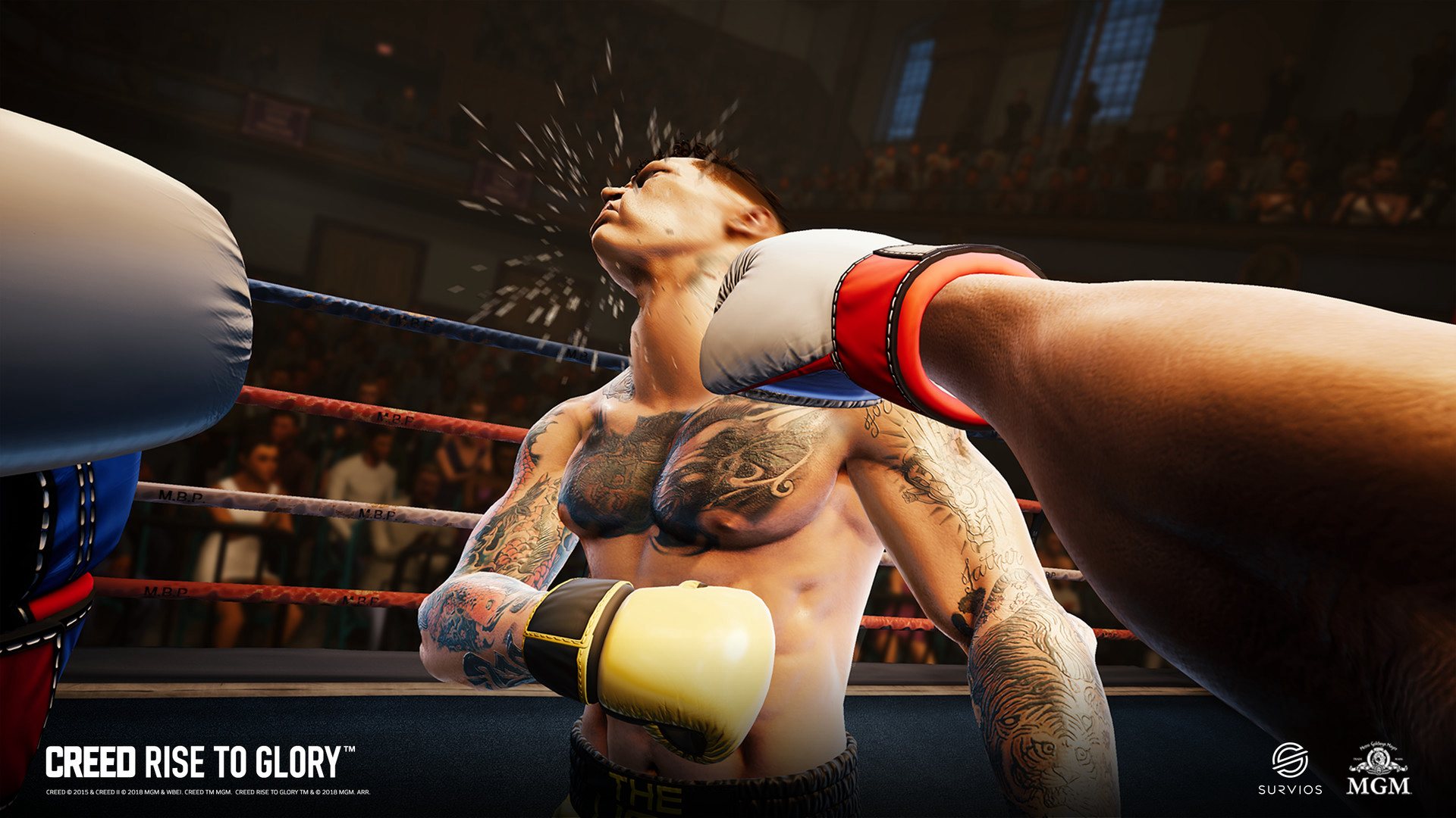 Creed: Rise to Glory Steam CD Key 10.71 $