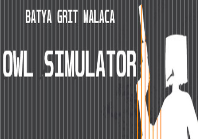 Owl Simulator Steam CD Key 0.18 $