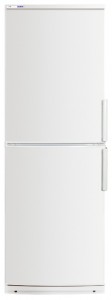 ATLANT ХМ 4023-400 Tủ lạnh ảnh