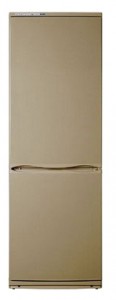 ATLANT ХМ 4012-150 Tủ lạnh ảnh