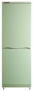 ATLANT ХМ 4012-082 Tủ lạnh ảnh